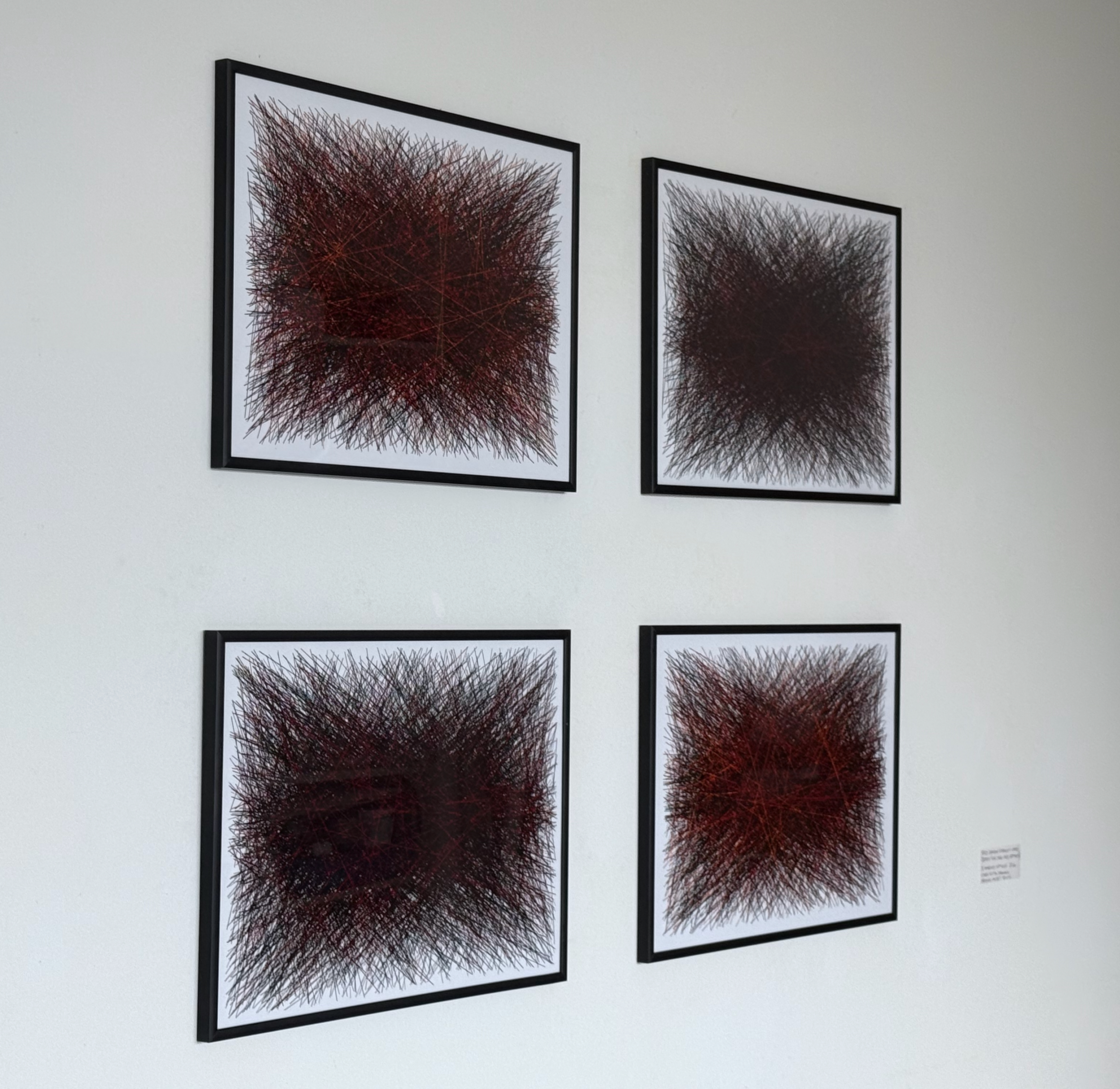 Philip Bradshaw, 3000 lines, blacks plus Darkred, vertical Xs, 2 combined diptychs, 2024.